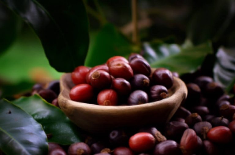 Кофе Танзании